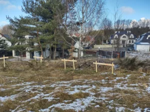 dom piętrowy z dachem płaskim 180 m2 Gdańsk Trójmiasto 2