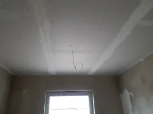 Prízemný dom z dachem dwuspadowym i garażem 80 m2 Poznań 28